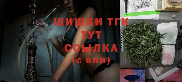 spice Бородино