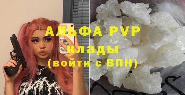 spice Бородино