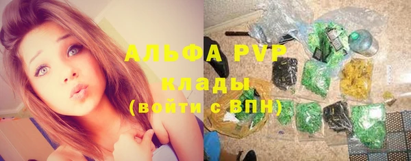 spice Бородино
