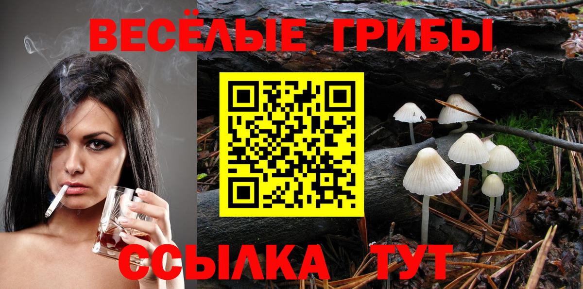 Копейск  Галлюциногенные грибы MAGIC MUSHROOMS  Вход с VPN 
